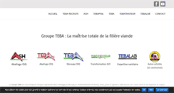 Desktop Screenshot of groupe-teba.com