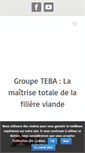 Mobile Screenshot of groupe-teba.com