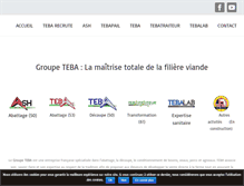 Tablet Screenshot of groupe-teba.com